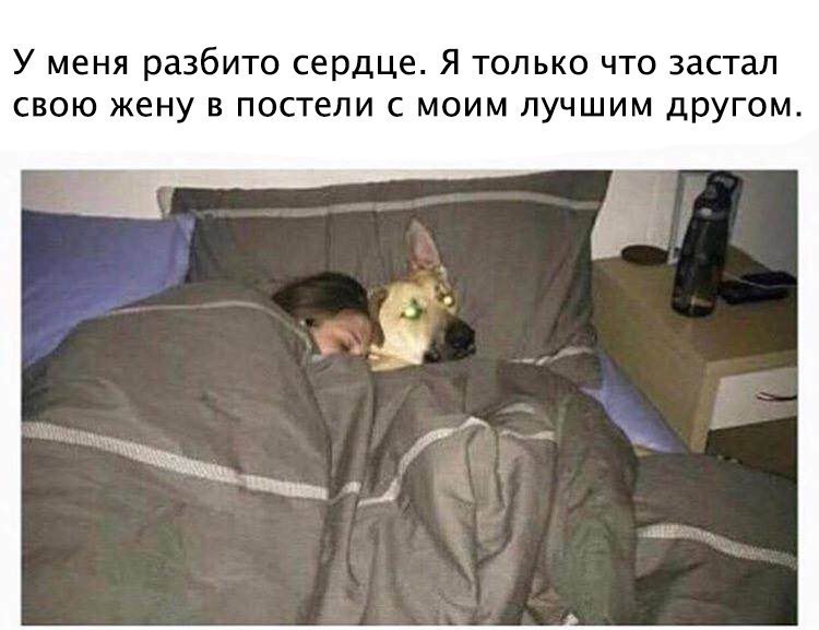 интересно-яя-ха-ха-10.jpg интересно-яя-ха-ха-10.jpg