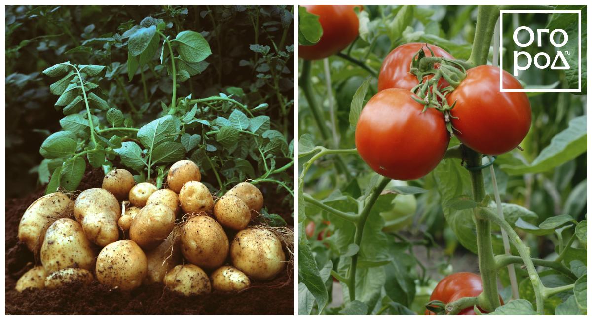 ��������� � ������