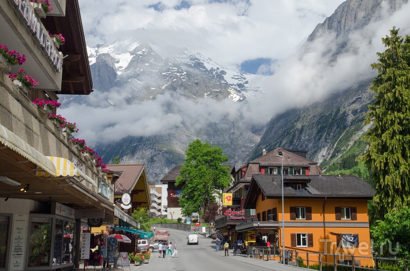 ���������: ������������� / ���� �� ���������