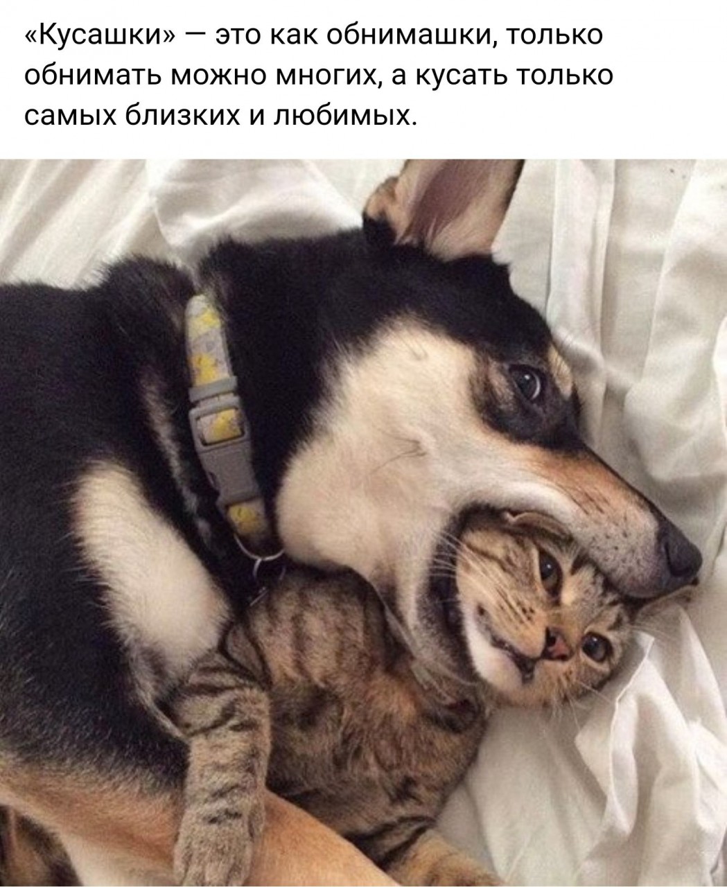 интересно-яя-ха-ха-8.jpg интересно-яя-ха-ха-8.jpg