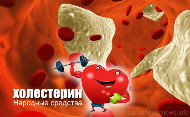 Снижаем холестерин народными средствами в домашних условиях Снижаем холестерин народными средствами в домашних условиях
