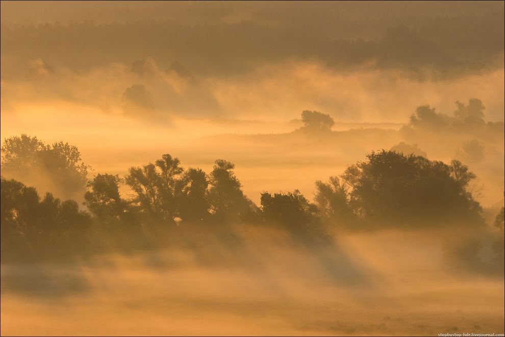 fog18 Королевство туманов