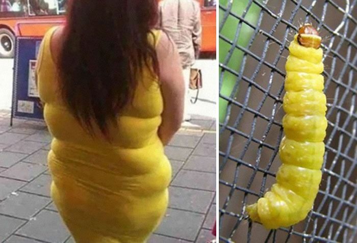      , , , 