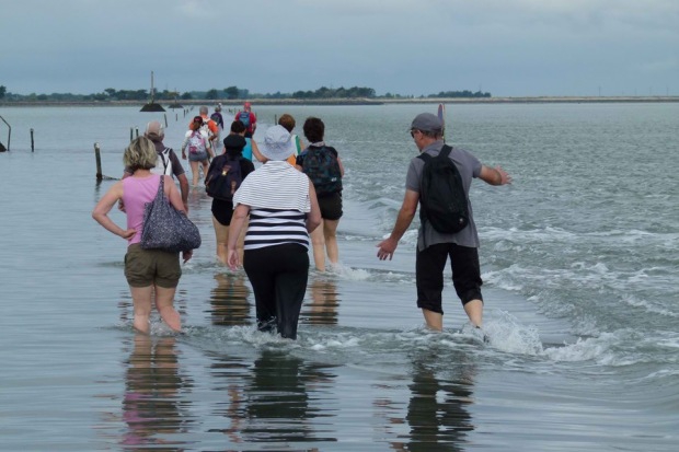 Дорога, дважды в сутки уходящая под воду дорога, интересно, интересно знать, необычно