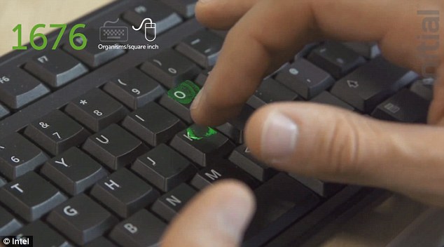 A keyboard is covered with 3,295 organisms per square inch and a computer mouse riddled with 1,676 organisms per square inch