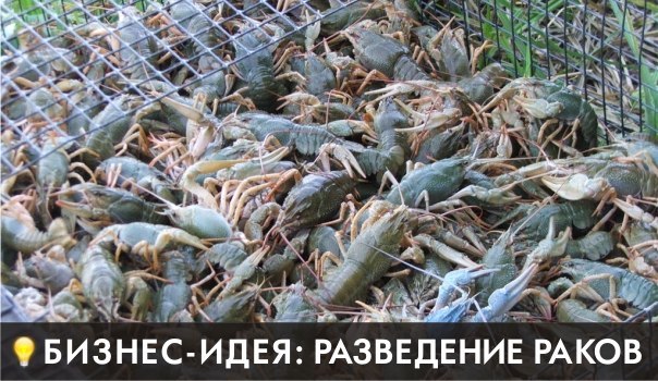 трал для ловли раков трал для ловли раков