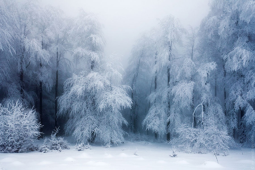 Gorgeous Winter Landscapes 20   