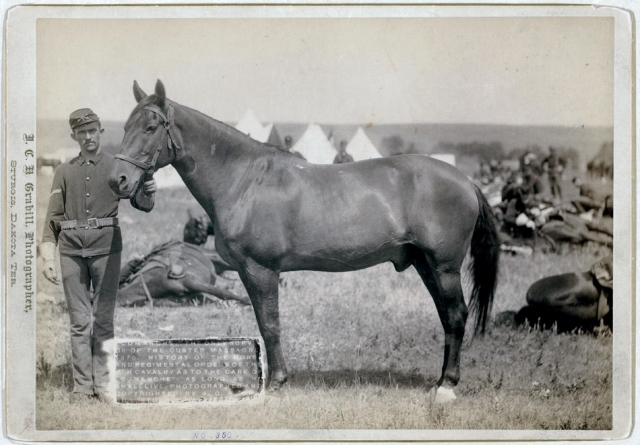 Дикий Запад второй половины XIX-го века Дикий Запад второй половины XIX-го века