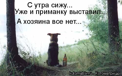  -   ...    ...    ...