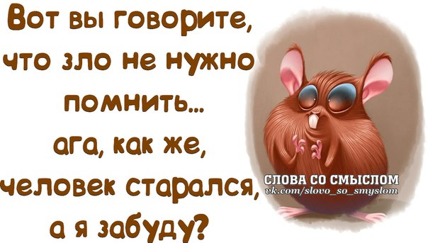 Статус про снох и Статус про снох и