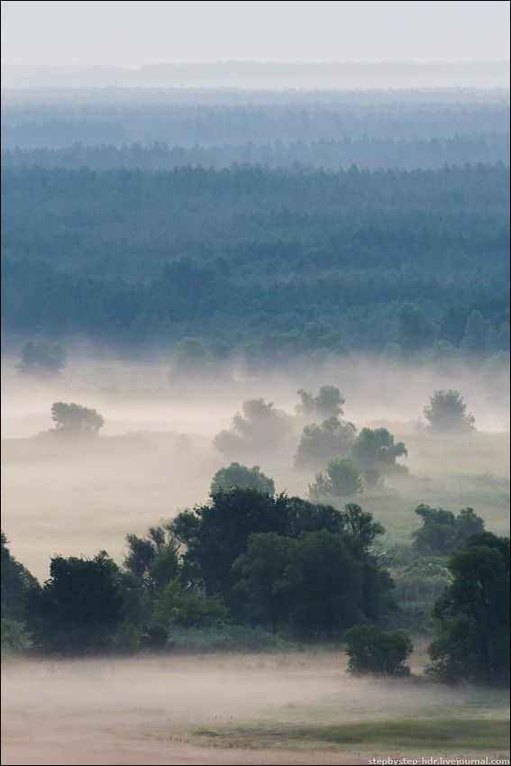 fog13 Королевство туманов
