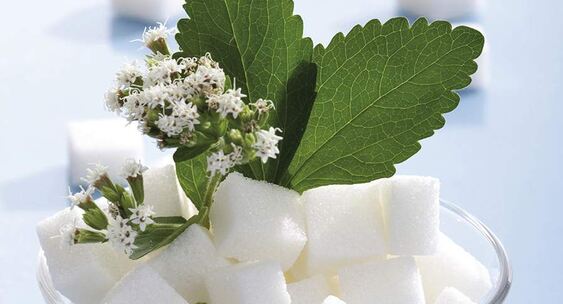 AHM: подсластитель из стевии помог улучшить средство от облысения