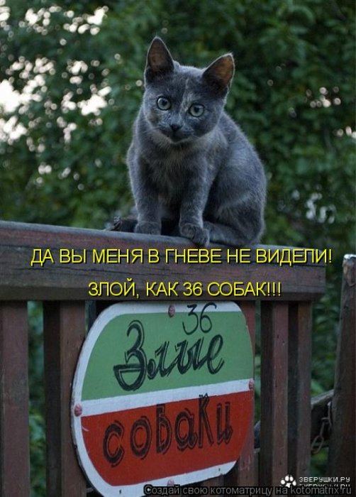 Мысли вслух :)