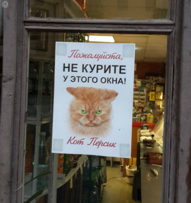 Прекратите травить Персика своим вонючим дымом! Прекратите травить Персика своим вонючим дымом!