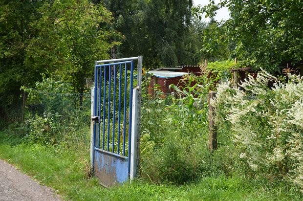 Немецкие дачи: они существуют - маленькие и без удобств германия, дача