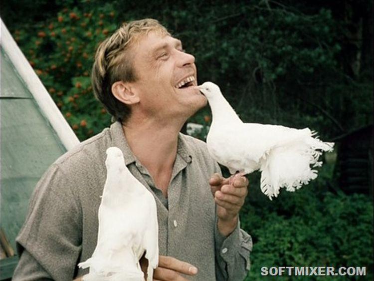 «Любовь и голуби»: детали, факты и редкие кадры из фильма loveandpigeons02 «Любовь и голуби»: детали, факты и редкие кадры из фильма