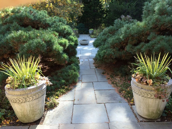 Фото: Todd Haiman Landscape Design Inc. Кашпо, расположенные в саду Wave Hill в Бронксе, Нью Йорк , сделаны из камня с пористой структурой.