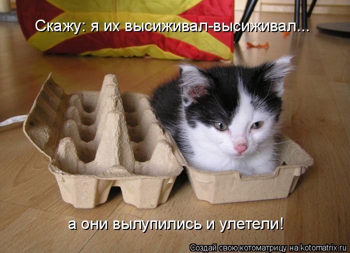 Мысли вслух :)