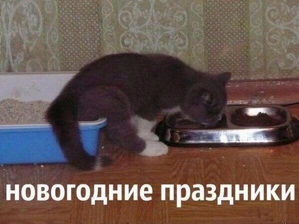 Ну не такой он уж старый... Этот Новый год Ну не такой он уж старый... Этот Новый год