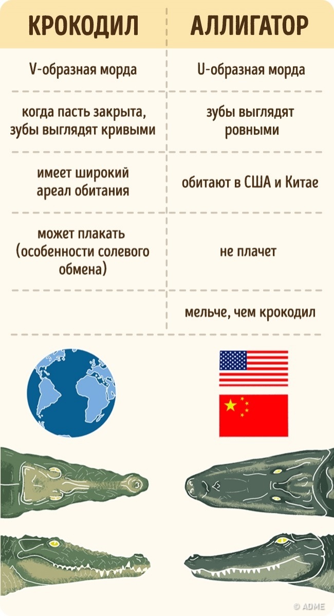 интересно-яя-28.jpg интересно-яя-28.jpg