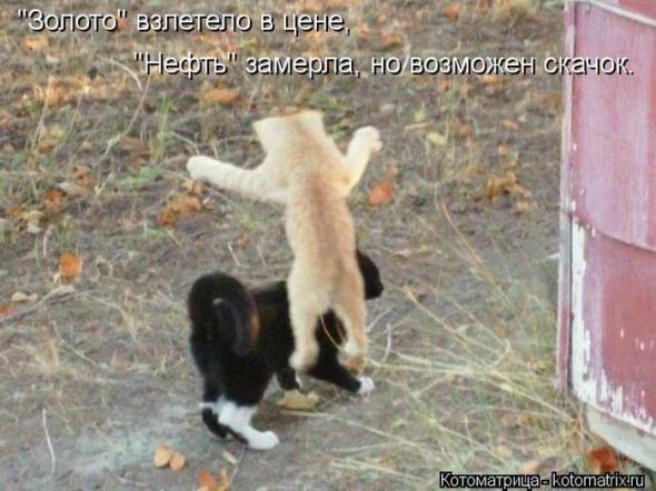 �����������(�������� � ���������)