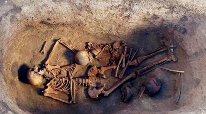 Древняя аристократка. Тайны Сибири — главные загадки древних Древняя аристократка. Тайны Сибири — главные загадки древних