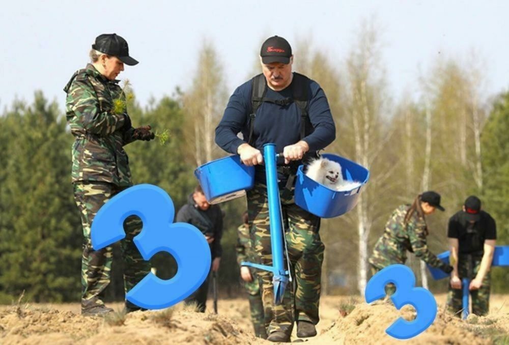 «Саша 3%»: что за мем?