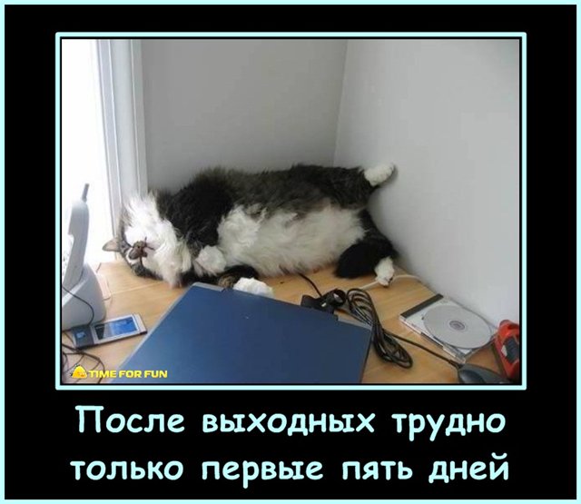 3924376_58d8cd1cd148 (640x555, 53Kb)