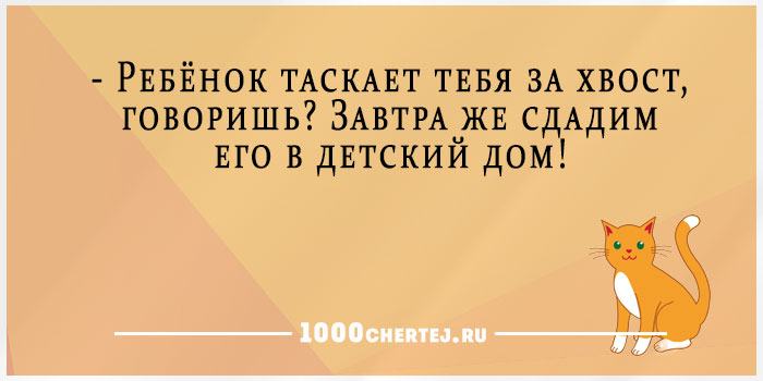 Анекдотиум. 30 фраз, которые котэ желает услышать от своих хозяев в первую очередь