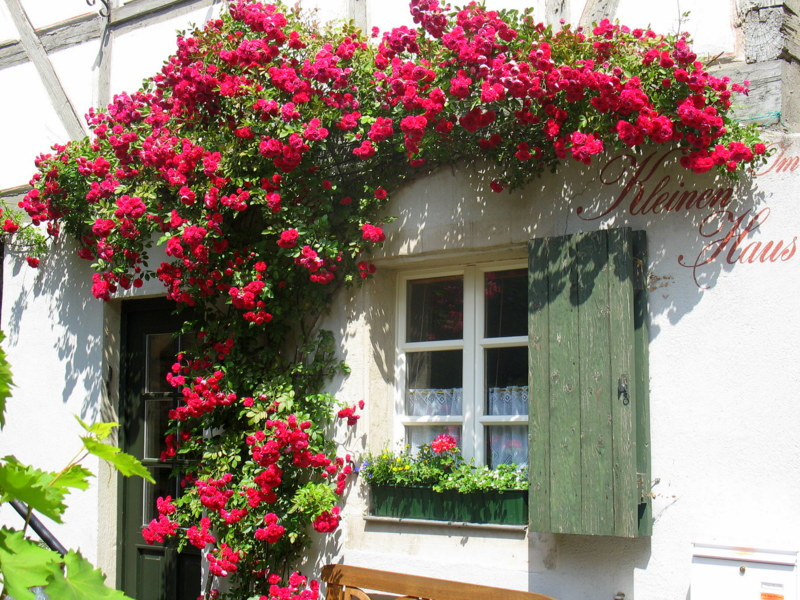 ���������� � ������ ����� � ���: ����� � �����