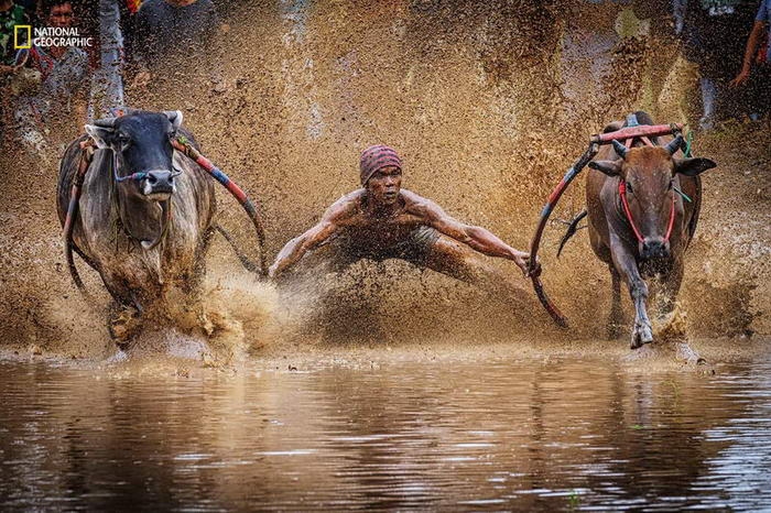 10 потрясающих фотографий дикой природы с конкурса National Geographic Nature Photographer of the Year Contest 10 потрясающих фотографий дикой природы с конкурса National Geographic Nature Photographer of the Year Contest