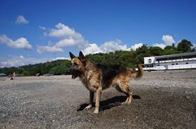 фотография Наталья Козырева.