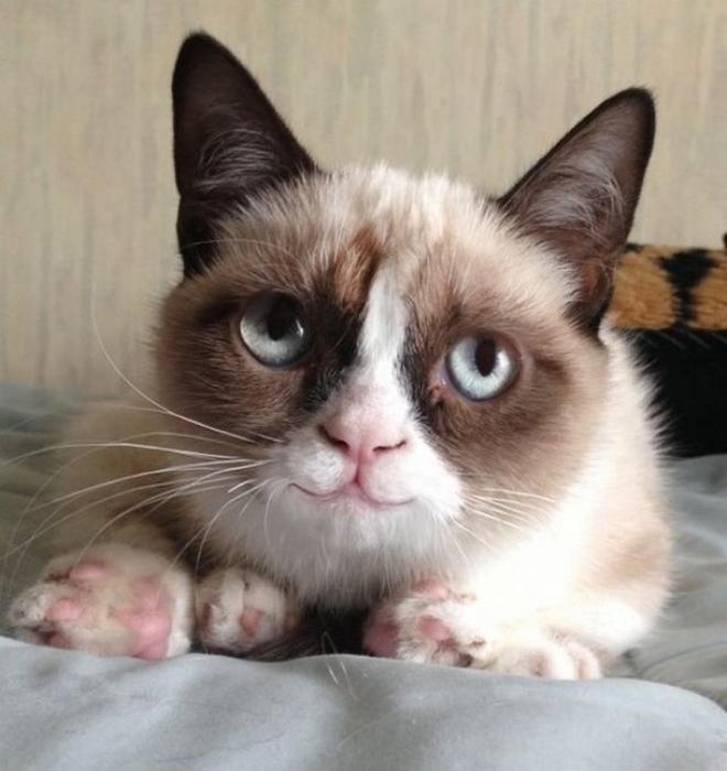 Давайте улыбаться вместе