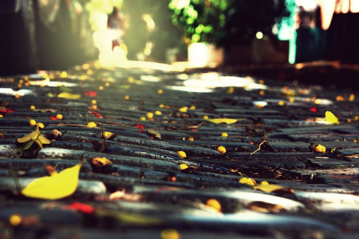 3180456_vif (700x466, 231Kb)
