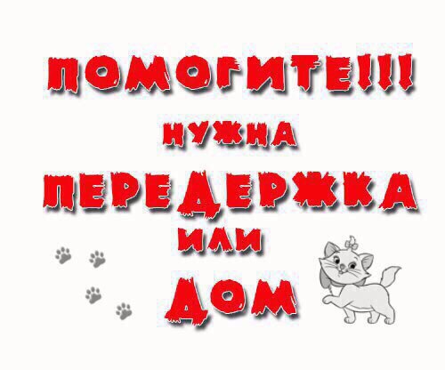 КТО ПОТЕРЯЛ??? КТО ПОТЕРЯЛ???