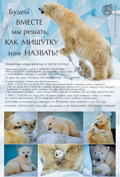 Медвежонок Шилка
