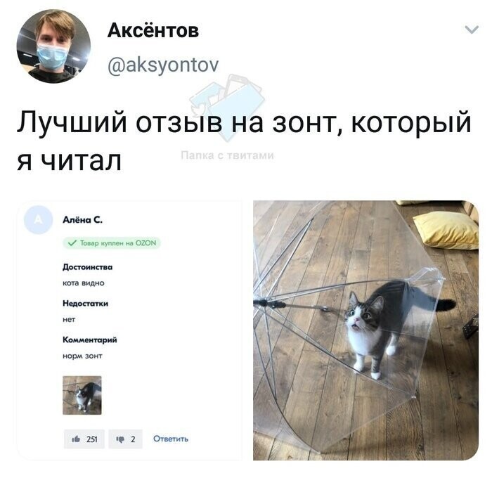 Главное, что видно кота Подборка отзывов, которые запомнятся вам надолго
(18 фото)