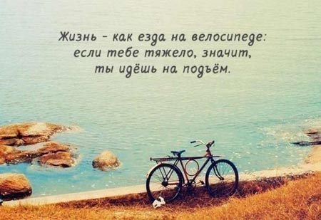 37 ������ � ������ ���� � ����� ����������