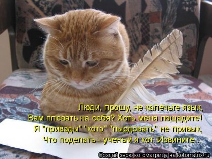 Котоматрица