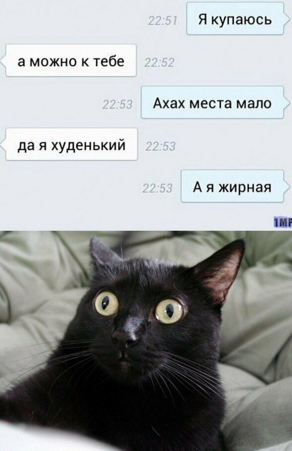Боги пикапа Парад неожиданных поворотов
(15 фото + 3 гиф)