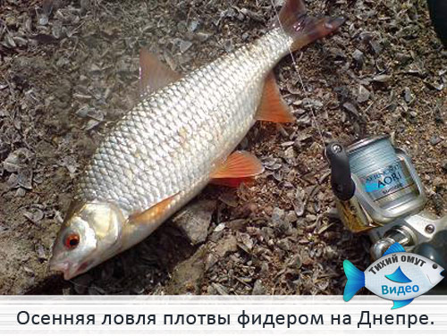 мегаомметр на рыбалке мегаомметр на рыбалке
