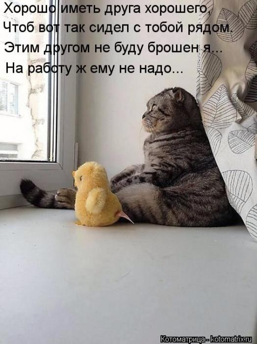 (  )