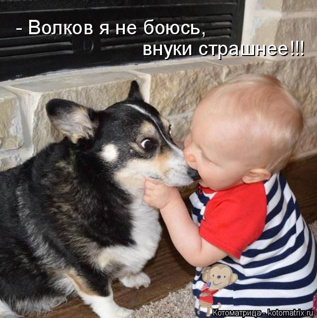 Лучшие котоматрицы недели