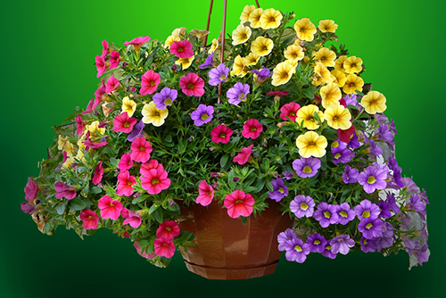 ����������