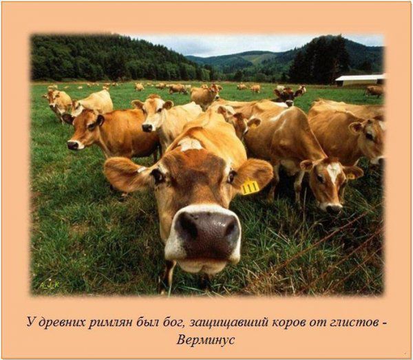 ������������ ����� �����, � ����, ���������