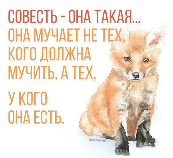 https://i.mycdn.me/image?id=850913474613&t=3&plc=WEB&tkn=*9LhbhKeIhYVpkNl5fk8R81atzEc