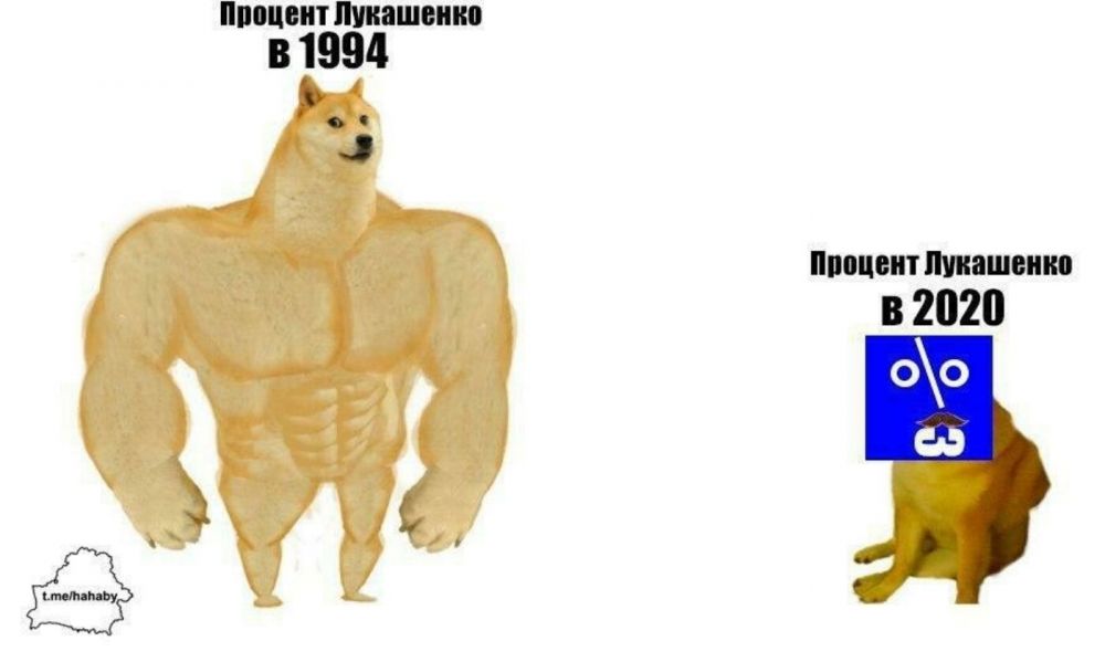 «Саша 3%»: что за мем?