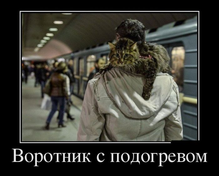Забавные и веселые демотиваторы для хорошего настроения (11 фото) Забавные и веселые демотиваторы для хорошего настроения (11 фото)