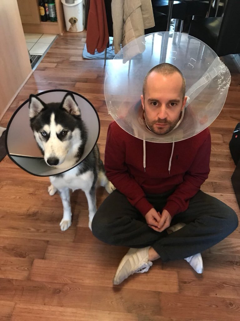 А есть и те, кто готов на многое, чтобы быть схожим со своим домашним животным А есть и те, кто готов на многое, чтобы быть схожим со своим домашним животным животные, лицо, милота, мимика, морда, собака, эмоция