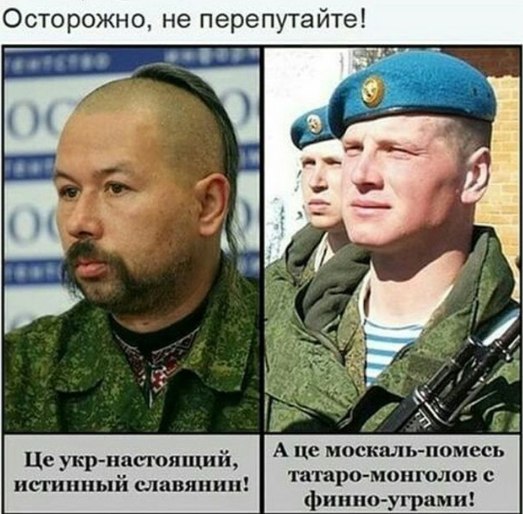 Мнение чеченца про украинцев